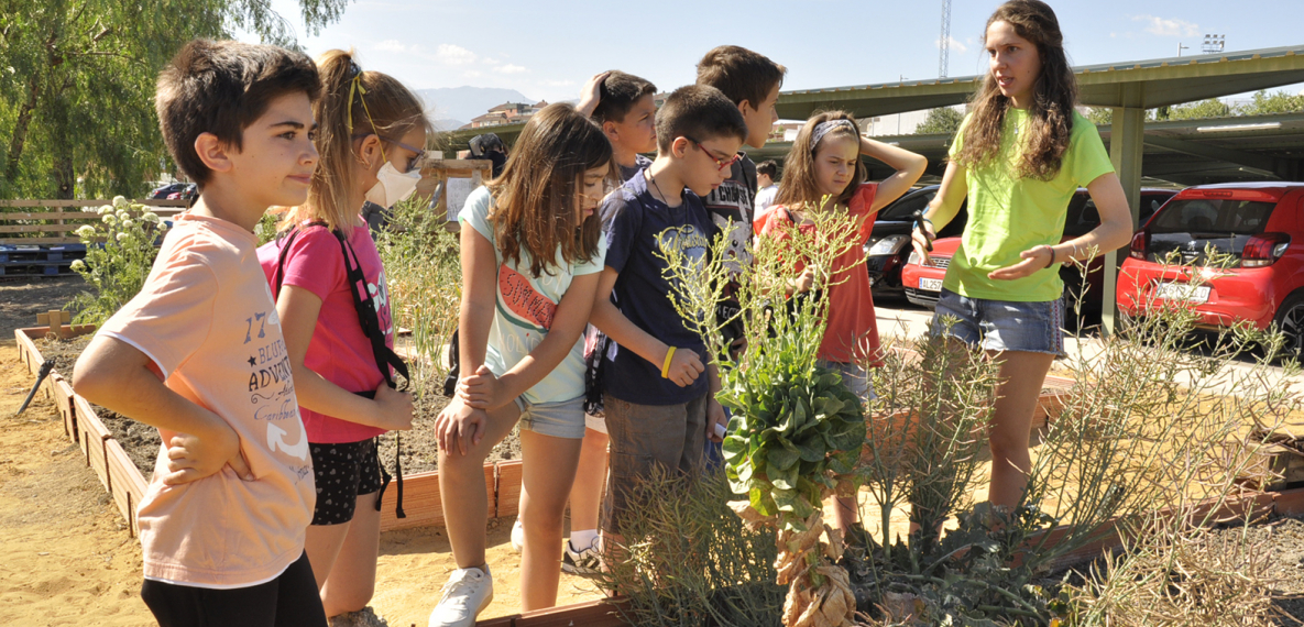 La UJA celebra el Día Mundial del Medio Ambiente con talleres para ...