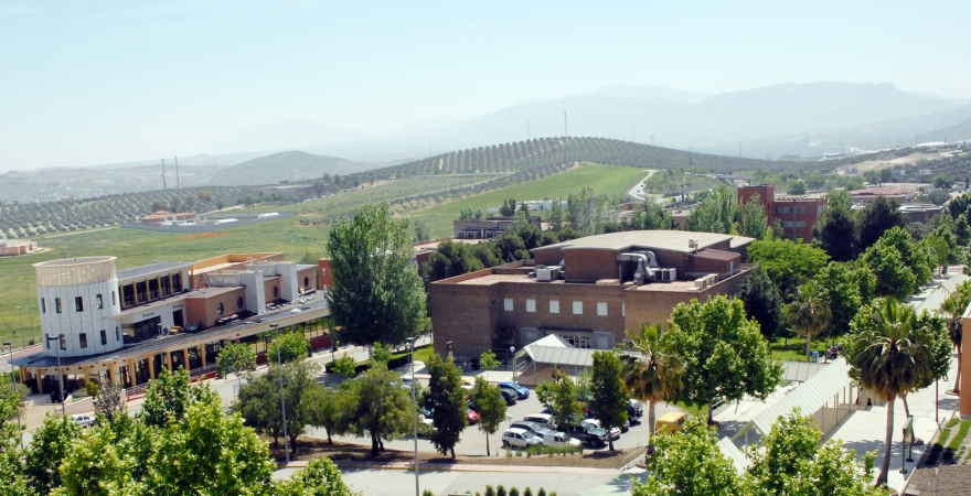 Vista del Campus de Las Lagunillas desde el Edificio Rectorado.