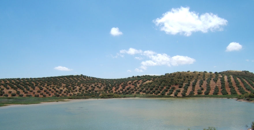 Laguna Honda.