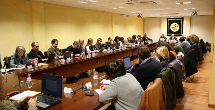 Una reunión del Consejo de Gobierno de la Universidad de Jaén.