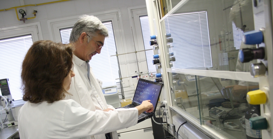 Investigadores de la UJA consultan un portátil en el laboratorio de Química Inorgánica.