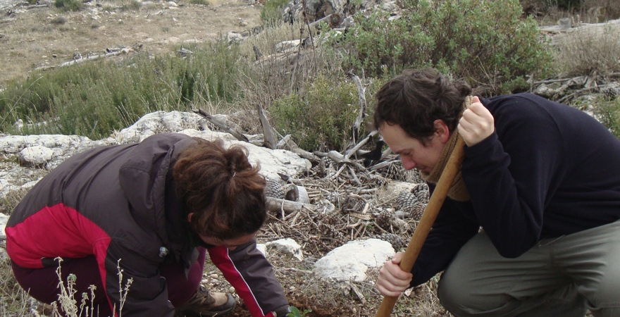 Voluntariado universitario, en una actividad de reforestación en la Sierra de Cazorla.