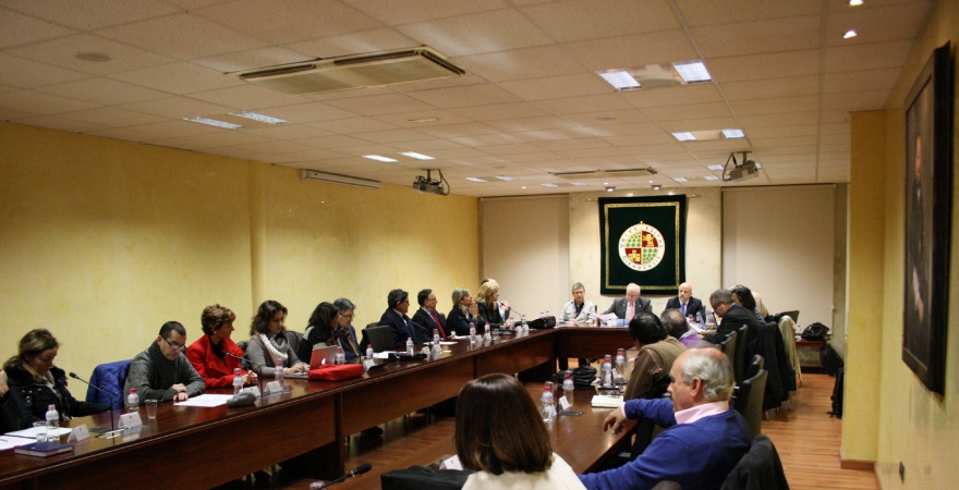 Consejo de Gobierno de la Universidad de Jaén, celebrado esta mañana.