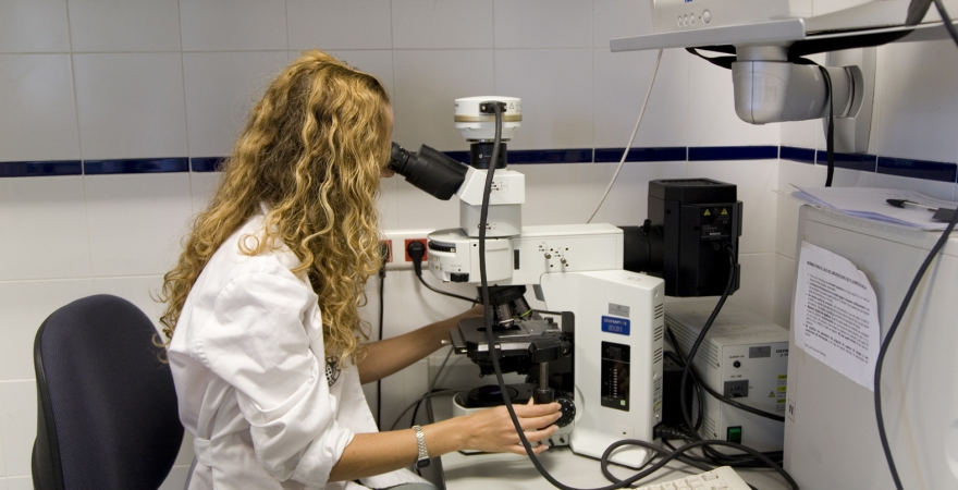 Investigadora de la Universidad de Jaén, en su laboratorio.