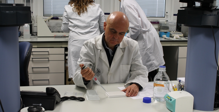 José Juan Gaforio, en una de sus jornadas de trabajo en el laboratorio.