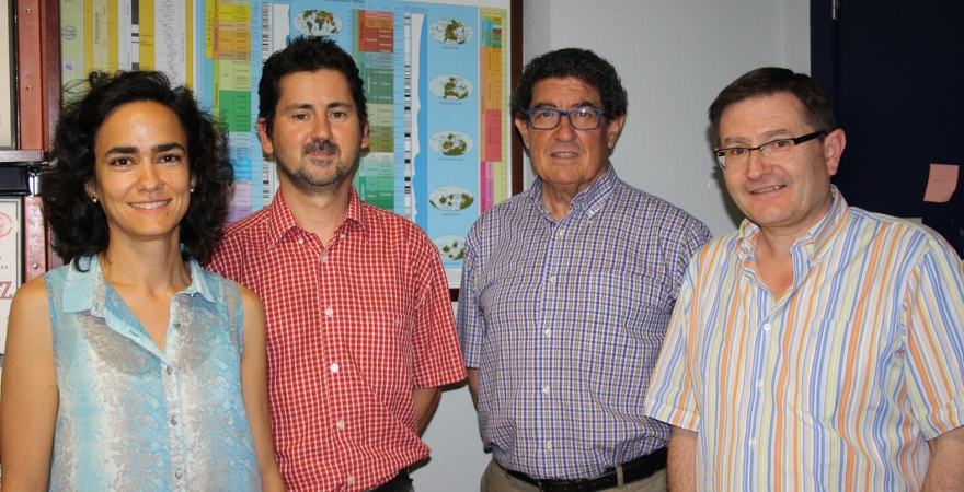 Los investigadores, Isabel Abad, Matías Reolid, José Miguel Molina y Luis Nieto.