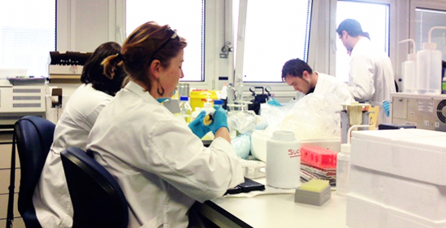 Investigadores analizan muestras en el laboratorio. 