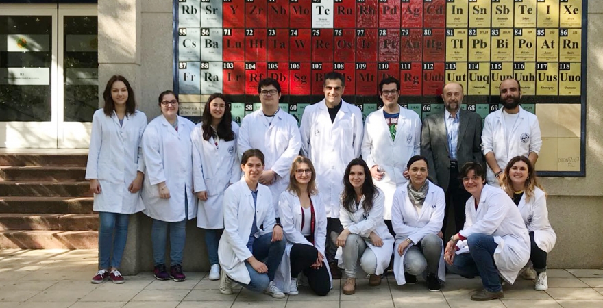 Grupo de investigación 'Química Analítica' de la Universidad de Jaén.