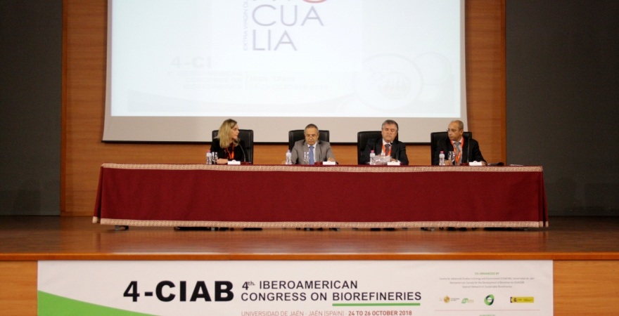 Momento de la inauguración del 4º Congreso Iberoamericano de Biorrefinerías