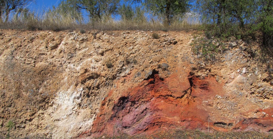 Afloramiento de las rocas estudiadas por los investigadores de la UJA.