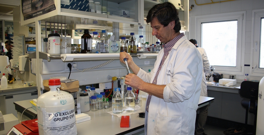 El investigador de la Universidad de Jaén, Diego Franco, en su laboratorio.