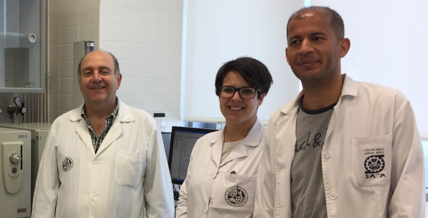 De izquierda a derecha, los investigadores Evaristo Ballesteros, Laura Palacios y Abdelmonaid Azzouz.