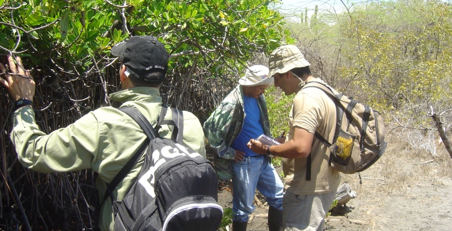 Los investigadores de la UJA, en un manglar en República Dominicana.