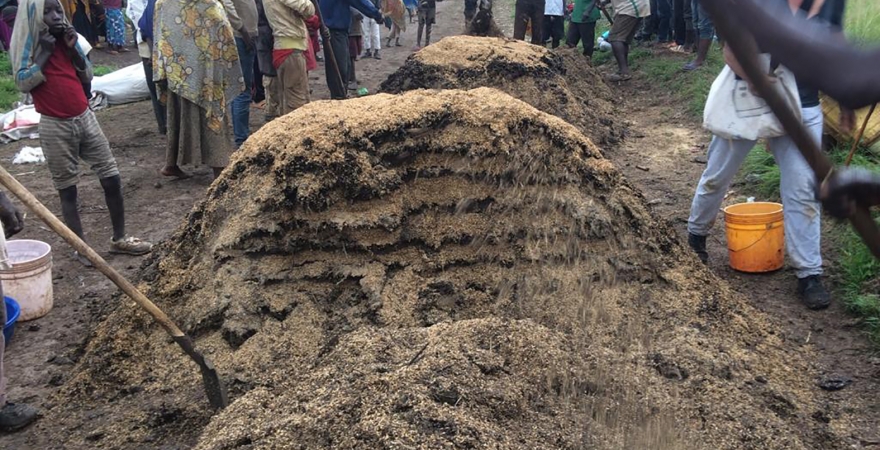 Trabajos agrícolas realizados por la población del grupo étnico ‘batwa’, en Ngozi (Burundi).