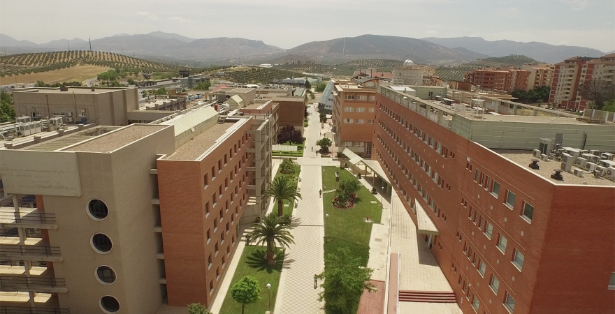 Imagen parcial del Campus Las Lagunillas en Jaén.