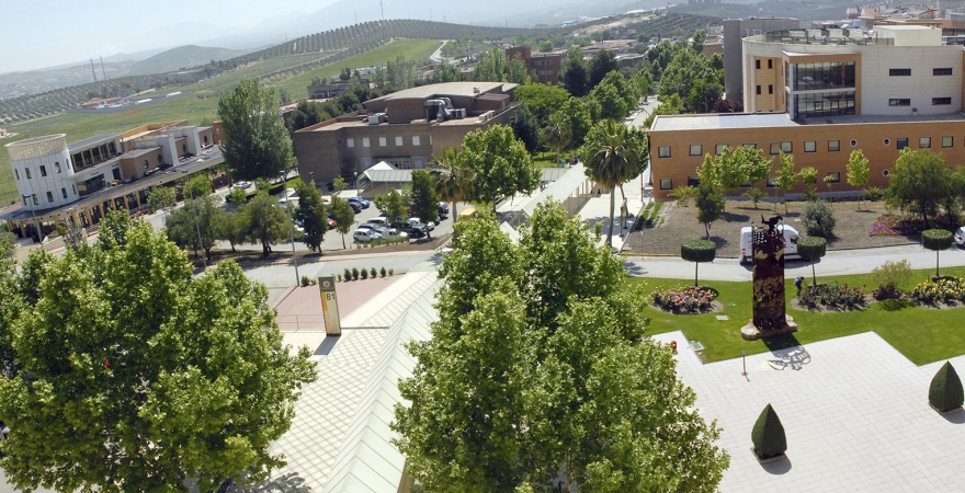 Vista panorámica del Campus Las Lagunillas, desde el Edificio Rectorado.