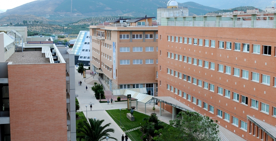 Imagen parcial del Campus Las Lagunillas.
