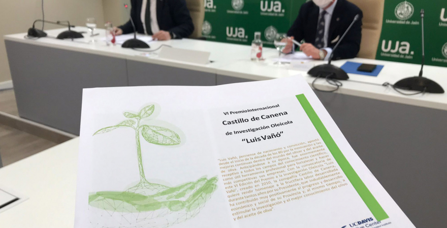 Presentación del VI Premio Internacional Castillo de Canena de Investigación Oleícola 'Luis Vañó'.