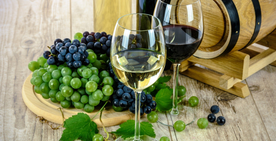 Los investigadores ponen de manifiesto la situación actual del sector vitivinícola en España.