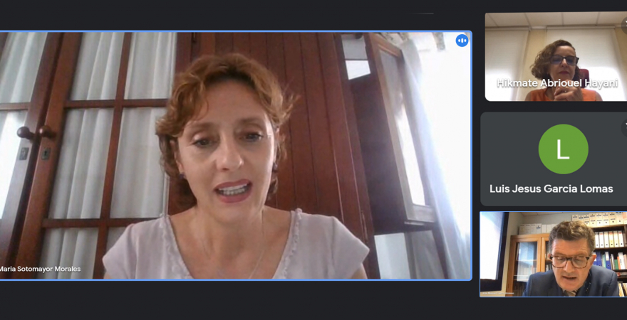 Un momento de la conferencia de clausura 'online' impartida por Eva Sotomayor.