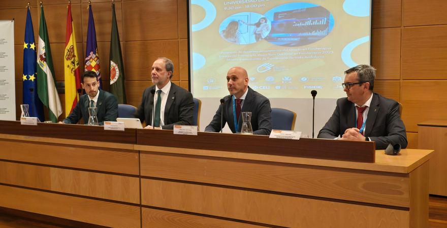 Alfonso Ibáñez, Nicolás Ruiz, Miguel Ángel Lérida y Rafael Lomas.