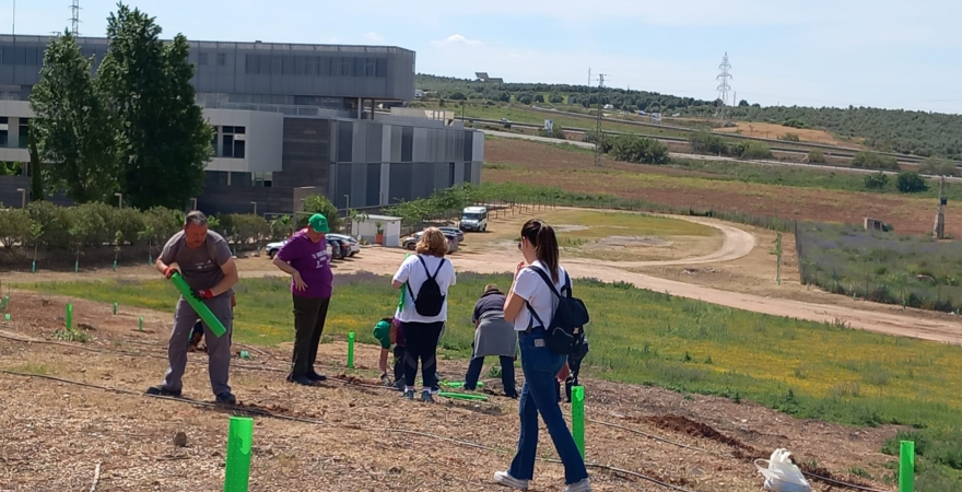 Plantación de árboles en el Campus Científico-Tecnológico de Linares.