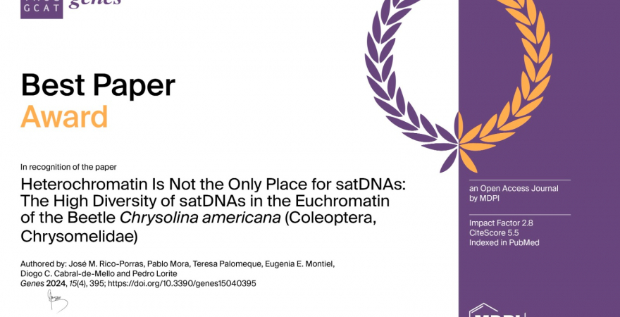 Certificado del premio otorgado.