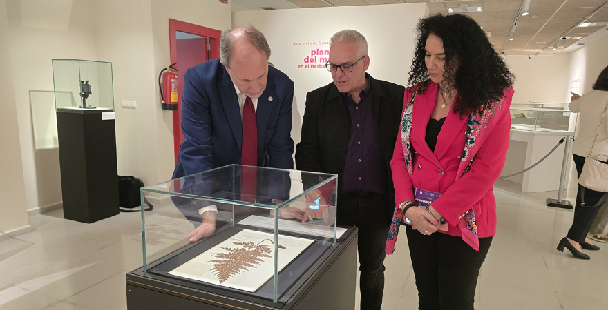 Nicolás Ruiz, Carlos Salazar e Isabel Azañón, observando uno de los documentos expuestos.