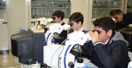 Estudiantes observan al microscopio una de las muestras. 