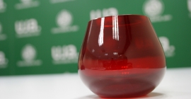 Vaso rojo granate para la cata de aceites de oliva.