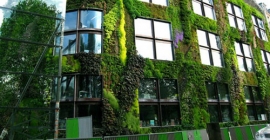 El nuevo material podrá usarse como soporte y abono de techos verdes en edificios.