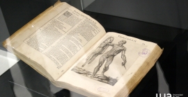 Libro 'Anatomia del corpo humano'