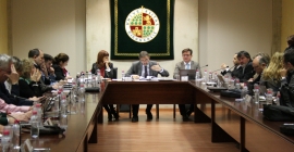 Momento del Consejo de Gobierno de la Universidad de Jaén, celebrado hoy.
