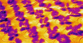 Imagen de olivar captada con cámara térmica.