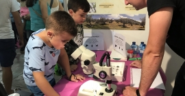 Unos niños miran por microscopios en uno de los talleres organizados la pasada edición.