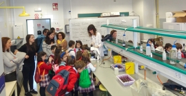 Escolares en un laboratorio.