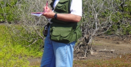 El investigador responsable del estudio, Antonio García Fuentes.