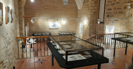La exposición puede visitarse en el antiguo hospital San Juan de Dios.