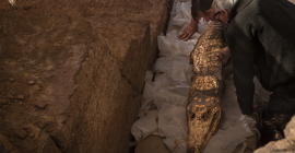Uno de los cocodrilos momificados descubiertos.