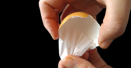 Membrana de la cáscara de huevo.