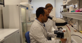 Equipo de investigadores del Departamento de Ingeniería Química, Ambiental y de los Minerales de la UJA que ha participado en este estudio