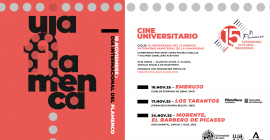 Cartel del ciclo de cine.