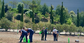 https://diariodigital.ujaen.es/institucional/jornada-de-reforestacion-en-el-campus-cientifico-tecnologico-de-linares