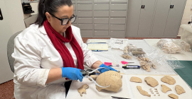 La investigadora de al UA María Paz de Miguel.
