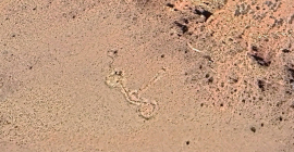 Imagen capturada en mayo de 2025 a través de Google Earth.