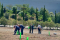https://diariodigital.ujaen.es/institucional/jornada-de-reforestacion-en-el-campus-cientifico-tecnologico-de-linares