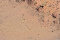 Imagen capturada en mayo de 2025 a través de Google Earth.