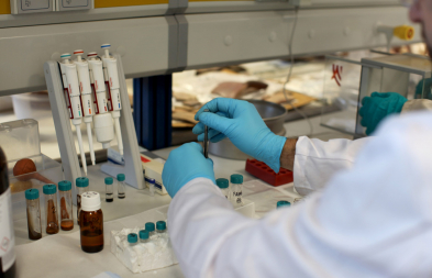 Laboratorio del Instituto de Investigación en Arqueología Ibérica de la UJA.