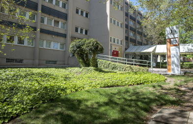 Zona verde junto al Edificio B3, en el Campus Las Lagunillas.