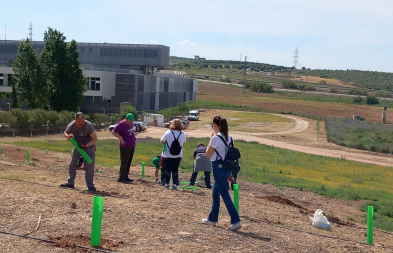 Plantación de árboles en el Campus Científico-Tecnológico de Linares.
